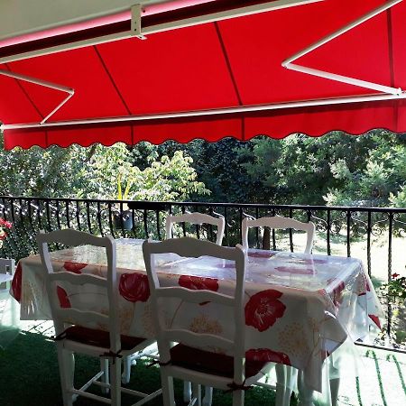 Havre De Paix Entre Mer Et Montagne A Ceret Pour 4 A 5 Pers Εξωτερικό φωτογραφία