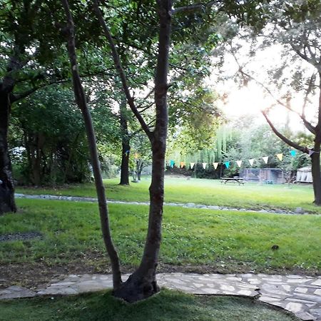 Havre De Paix Entre Mer Et Montagne A Ceret Pour 4 A 5 Pers Εξωτερικό φωτογραφία