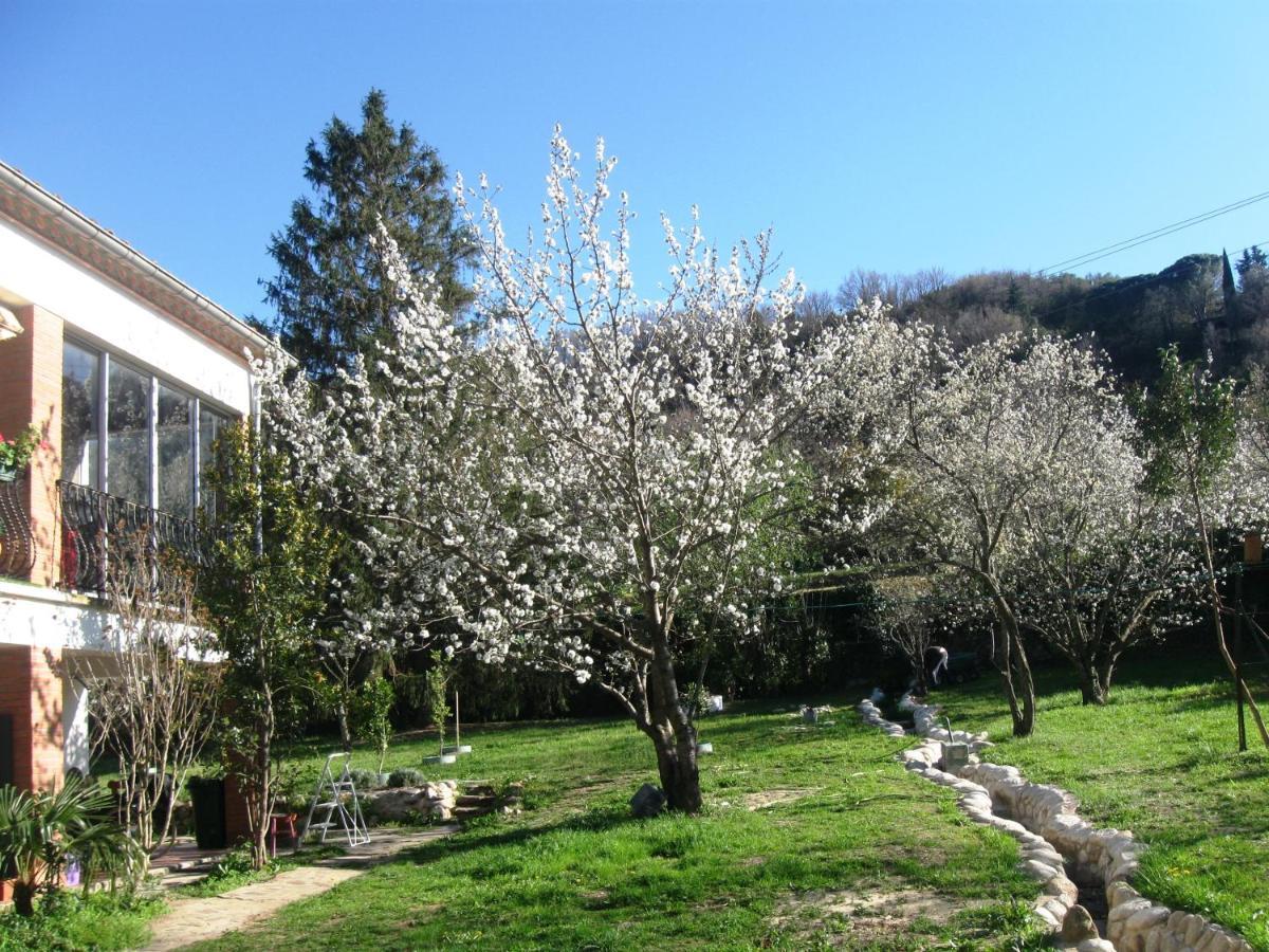 Havre De Paix Entre Mer Et Montagne A Ceret Pour 4 A 5 Pers Εξωτερικό φωτογραφία