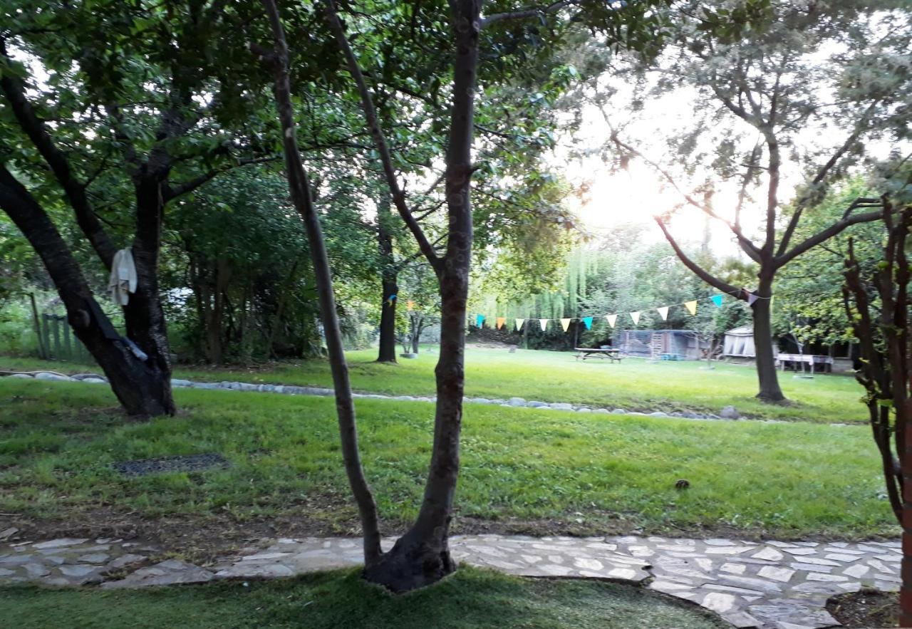 Havre De Paix Entre Mer Et Montagne A Ceret Pour 4 A 5 Pers Εξωτερικό φωτογραφία